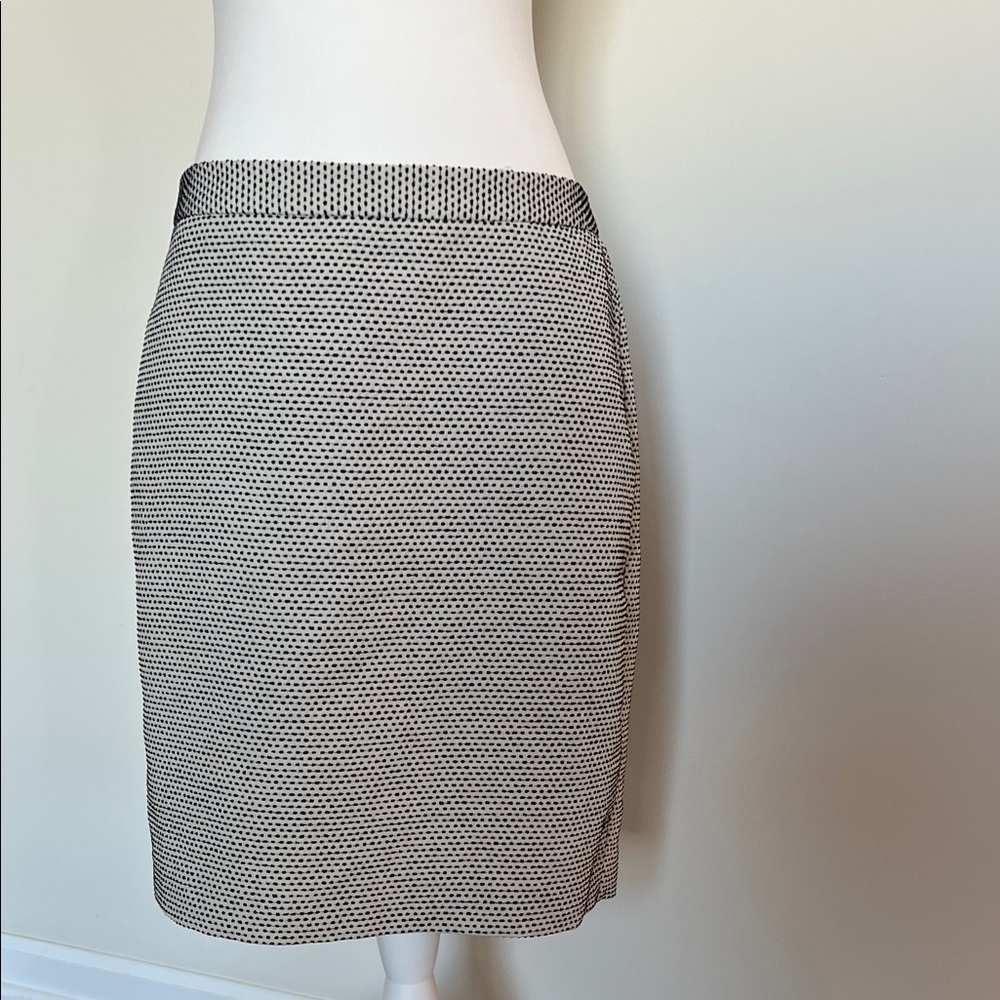 LOFT Pencil Skirt